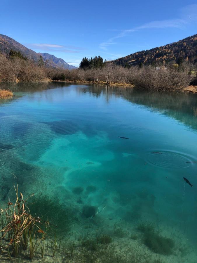 Apartma Gams Kranjska Goraアパートメント エクステリア 写真